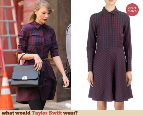 Cynthia Rowley Gingham Shirt Dress worn by Taylor Swift