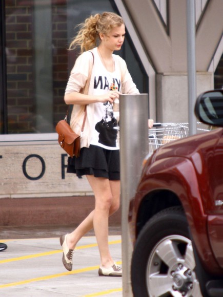 Taylor Swifts brown handbag